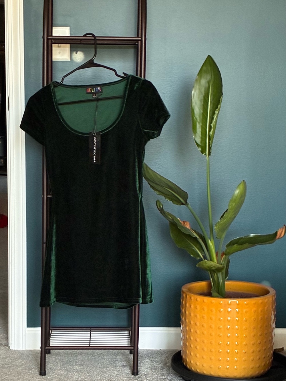 Deliaās X Dollskill Collab Velvet Scoop Neck Tee Shirt Dress in Deep Green